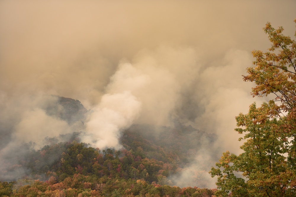 2016 Southeastern Wildfires