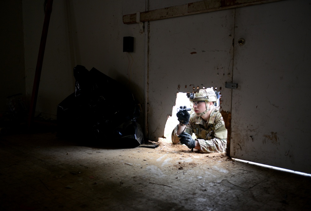 Beale EOD diffuse simulated crisis situation