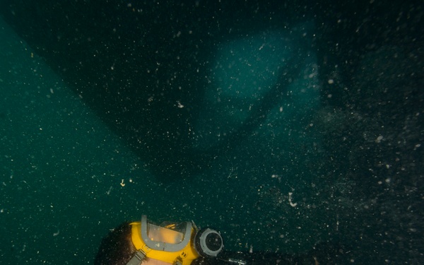 CTG 56.1 Conducts Anti-Terrorism Force Protection Dive