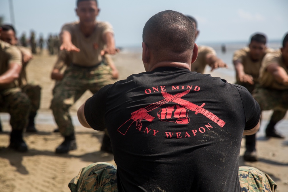 WestPac 16-2: Exercise Tiger Strike Training