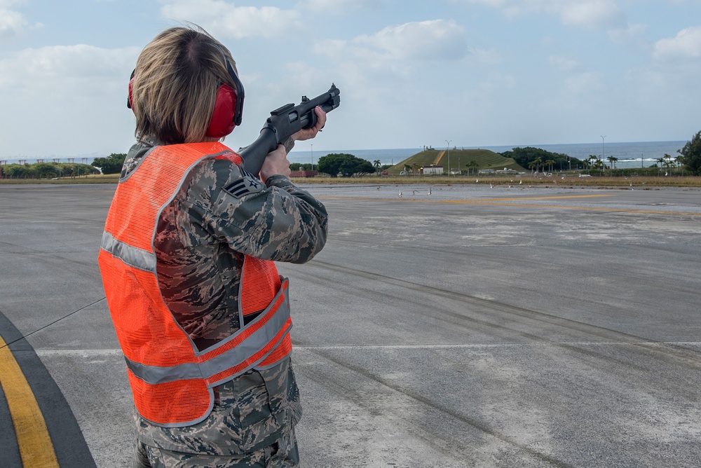 Airfield Operations Prevents Birdstrikes