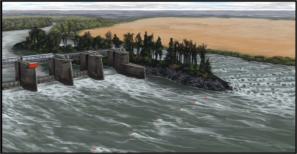 Engineers assess New Savannah Bluff Lock &amp; Dam with an eye for proposed fish passage