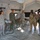 The image shows a military medical tent setup, likely during a training exercise or demonstration. Several personnel in different military uniforms are gathered around field stretchers with simulated patients, while a civilian cameraman documents the scene. The setting appears to be a forward operating base or field hospital environment.