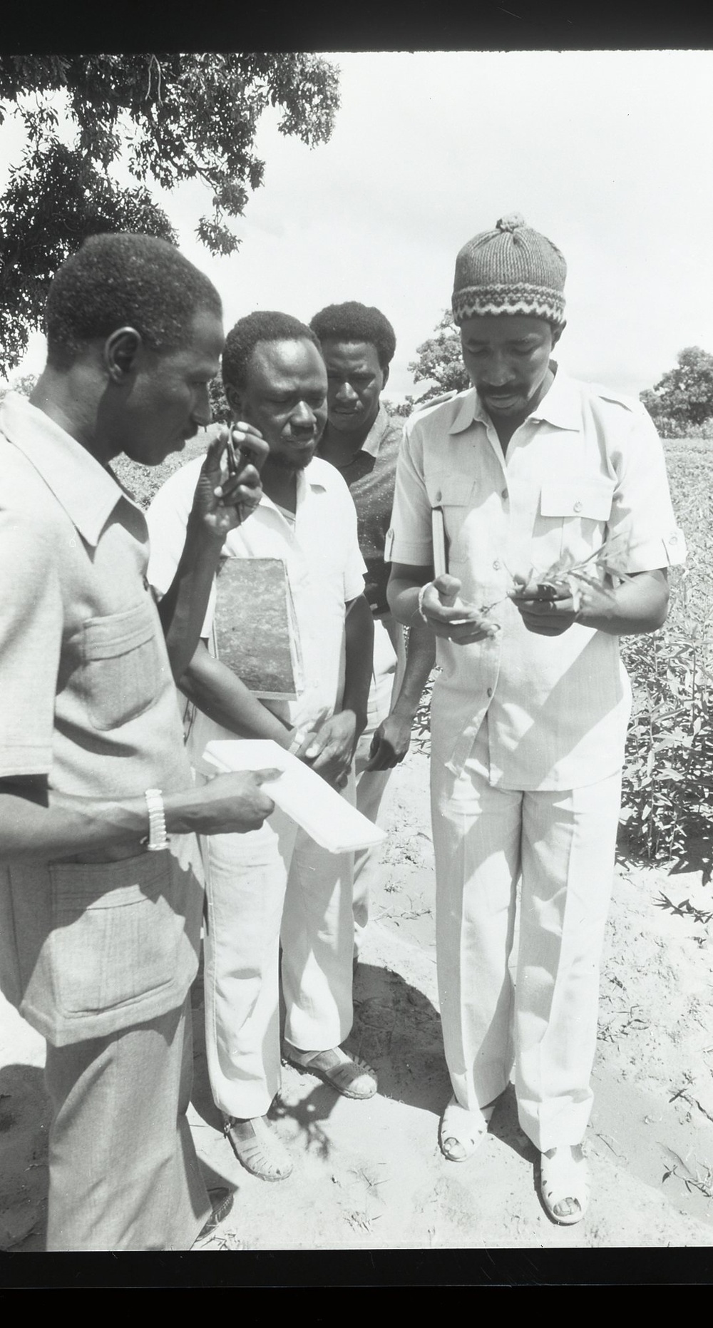 AFR DROUGHT MISC PRINT & NEGATIVES AFR DROUGHT MISC PRINT & NEGATIVES