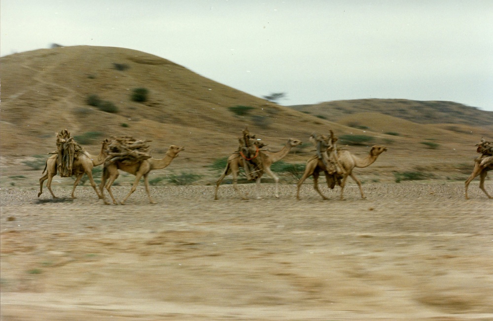 Ethiopia February 1988