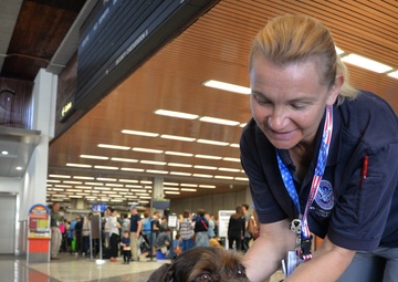 Citizen Airmen devoted to canine training, airport security