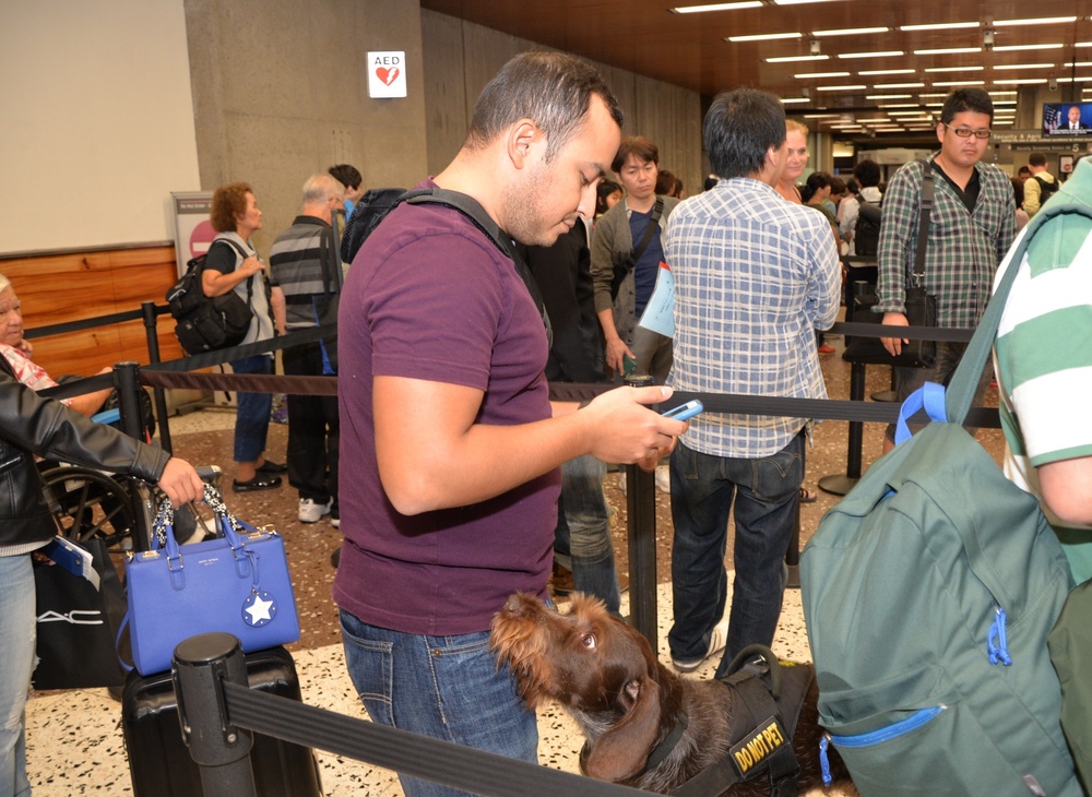 Citizen Airmen devoted to canine training, airport security