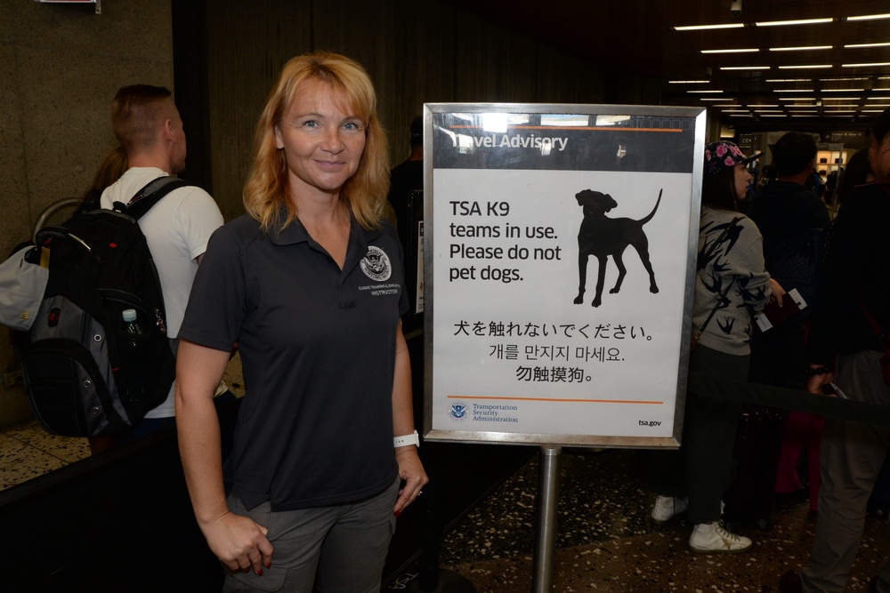 Citizen Airmen devoted to canine training, airport security