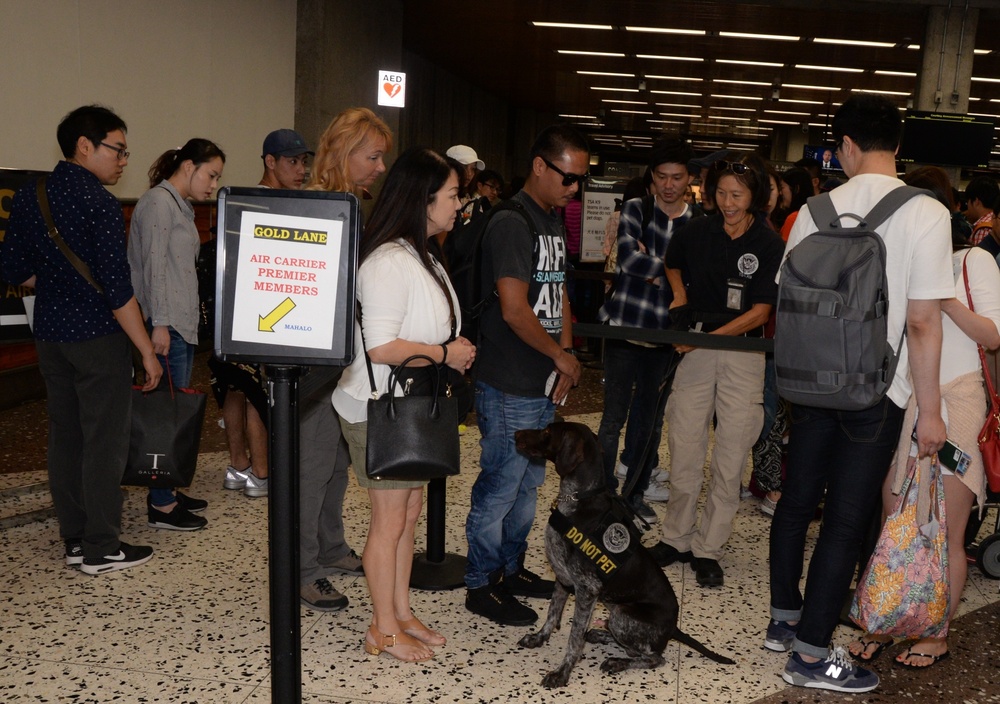 Citizen Airmen devoted to canine training, airport security