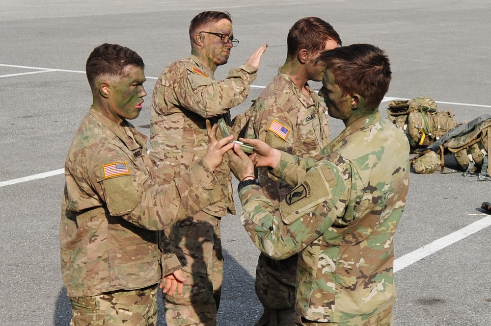 Mangusta 16 exercise