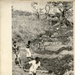 Zaire - Inauguration of Obala acrow bridge (PVO-Zaire article)