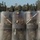 3/6 participates in non-lethal weapons course 3/6 participates in non-lethal weapons course