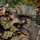 3/6 participates in non-lethal weapons course 3/6 participates in non-lethal weapons course