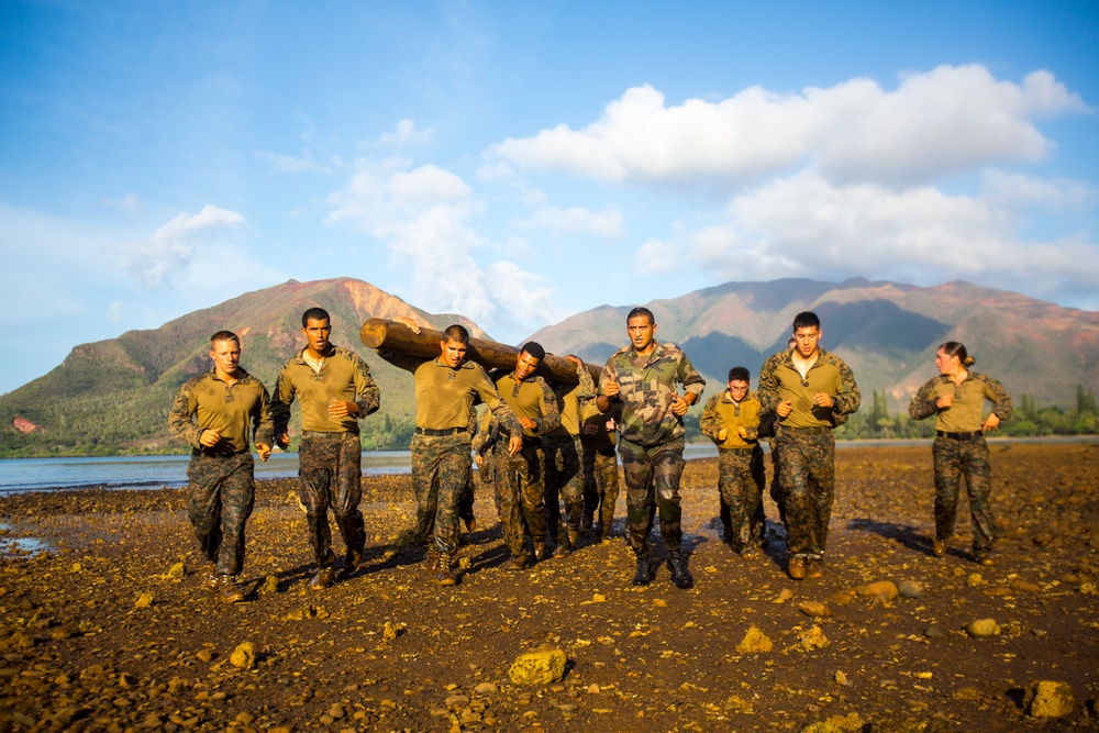 Log Run in New Caledonia