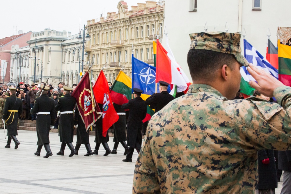 Lithuania Armed Forces Day