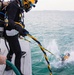 Deployed Army Divers Plunge into Operation Deep Blue