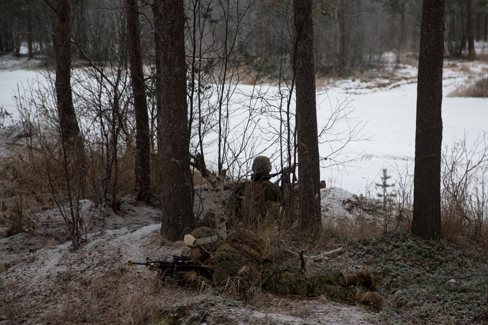 U.S. Marines in Norway complete Exercise Reindeer II