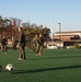 Marine Sports Day at Osan AB