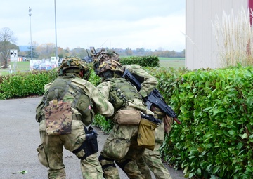 Mangusta 16 exercise