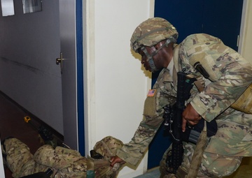 Mangusta 16 exercise