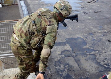 Mangusta 16 exercise