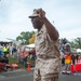 41st Marine Corps Marathon