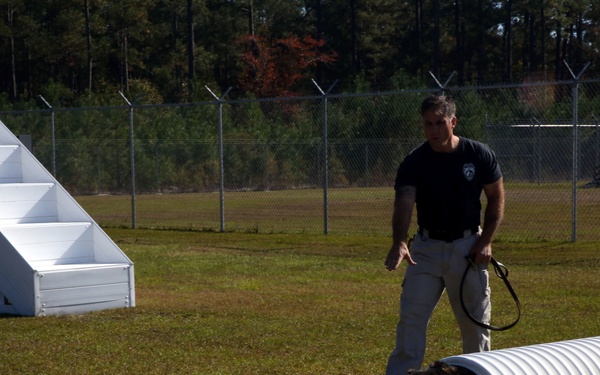 LHS Psych students tap into the mind of military police dogs