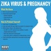 Zika Virus and Pregnancy