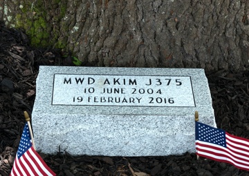 Memorial service honors military working dog