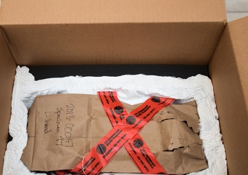 ICE returns ancient artifacts to Egypt