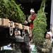 Fort Drum Receives, Distributes Trees in Annual &quot;Trees for Troops&quot; Program