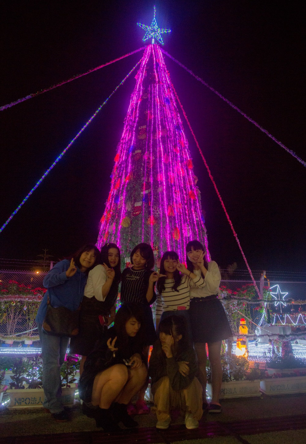 Kin Town Christmas Tree Lighting