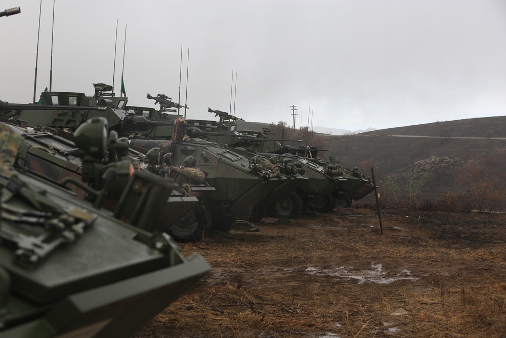 1st Light Armored Reconnaissance Battalion joins forces with New Zealand troops