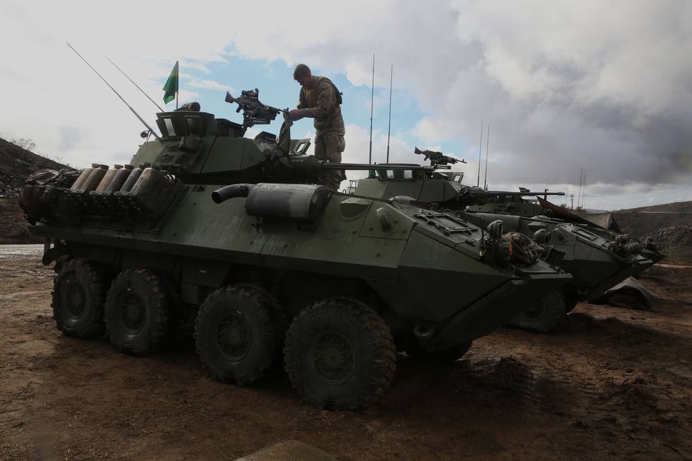 1st Light Armored Reconnaissance Battalion joins forces with New Zealand troops