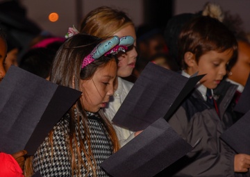 Base Christmas Tree lights up