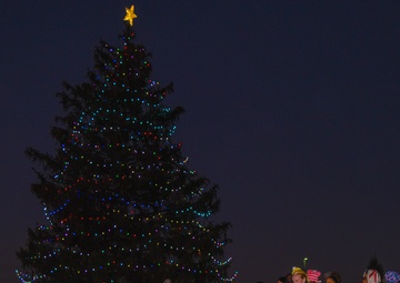 Base Christmas Tree lights up