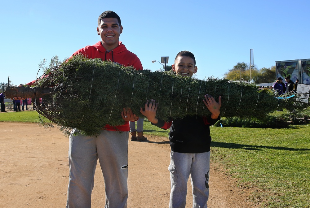 Camp Pendleton Hosts Trees for Troops