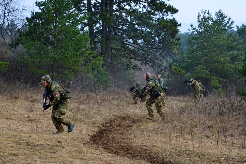 Exercise Mountain Shock 2016