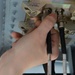 1st SOMXS's innovation improves training platform