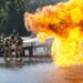 Firefighters: combating flames, forging bonds