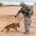 Military working dogs learn to seek out explosives in notional village