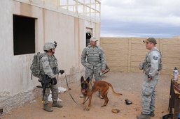 Military working dogs learn to seek out explosives in notional village