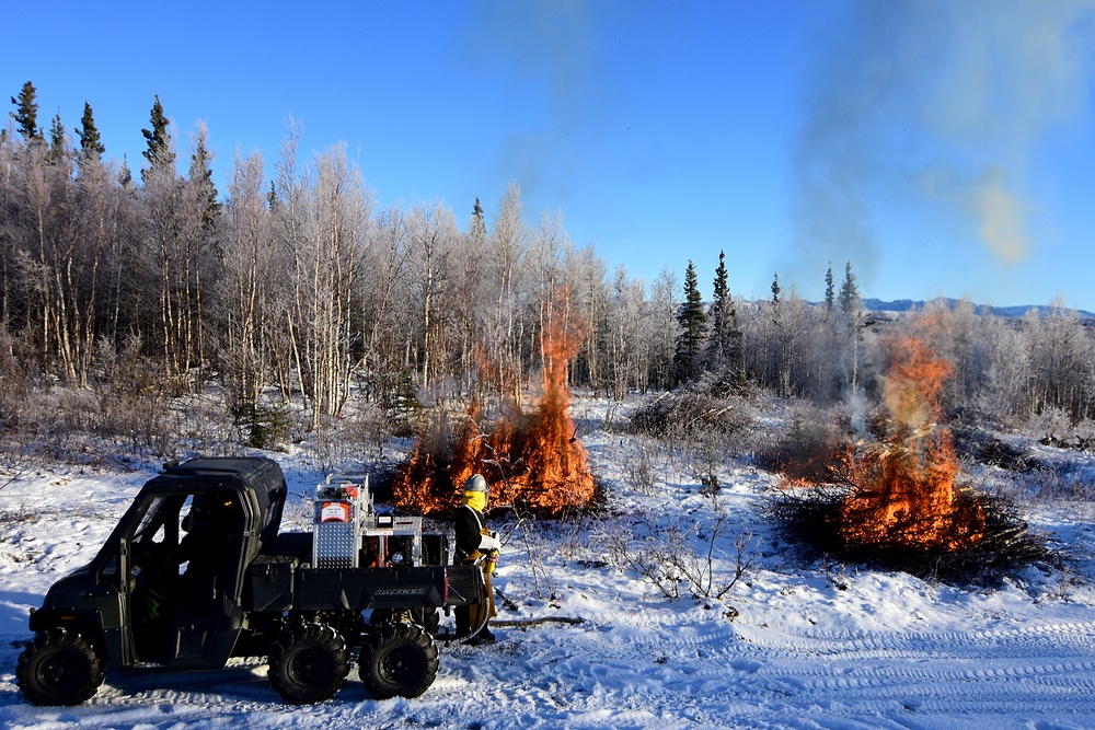 Army, Alaska Fire Service fight fire danger with fire