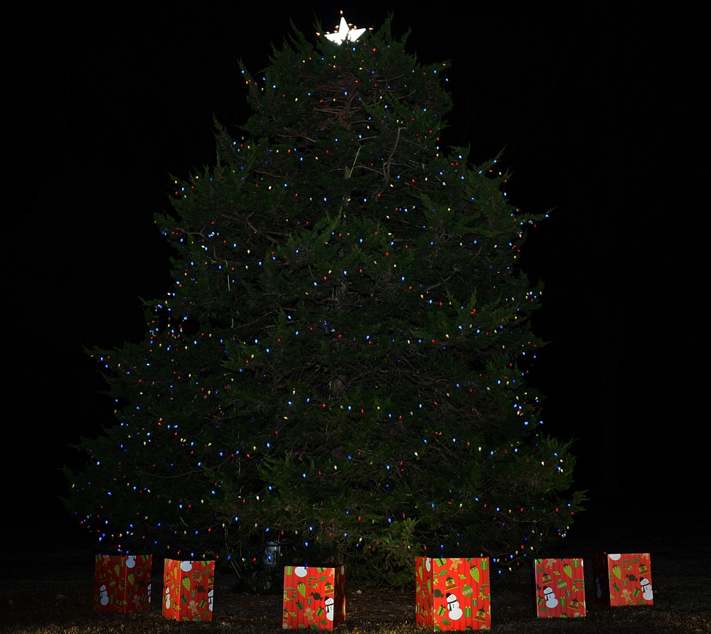 Tree lighting: bringing in the holidays