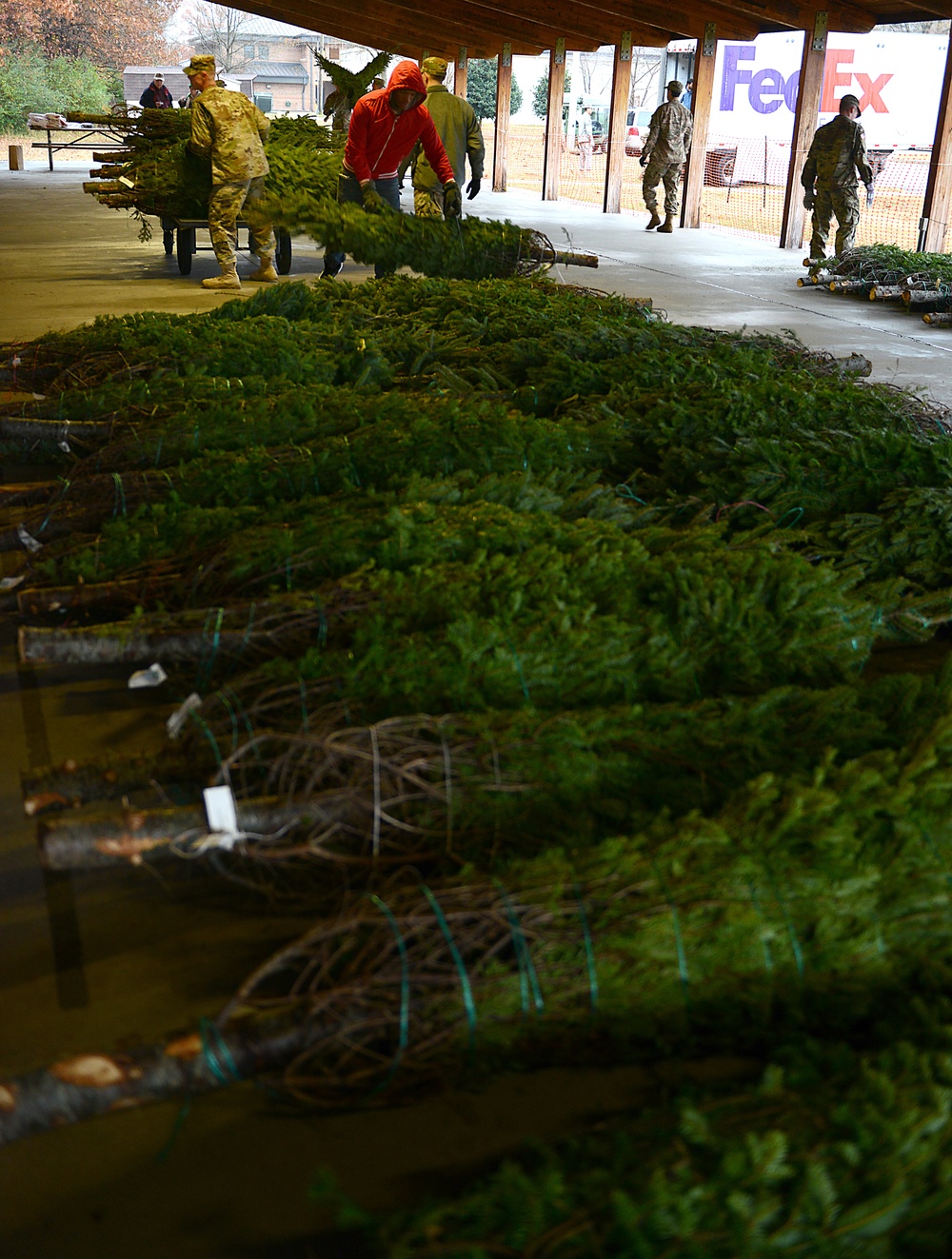 Trees for Troops: the SPIRIT of giving