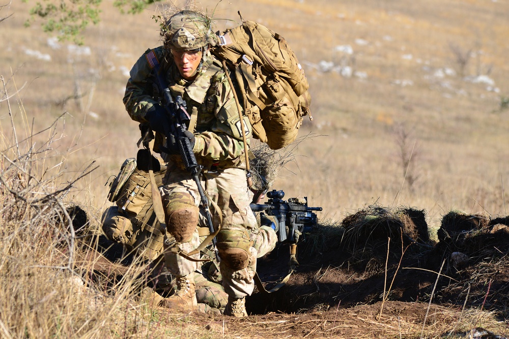 Exercise Mountain Shock 2016