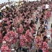 Mass Band Performs at Battleship Missouri Memorial