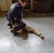 MPs join Belgian Active Shooter Training