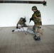 MPs join Belgian Active Shooter Training