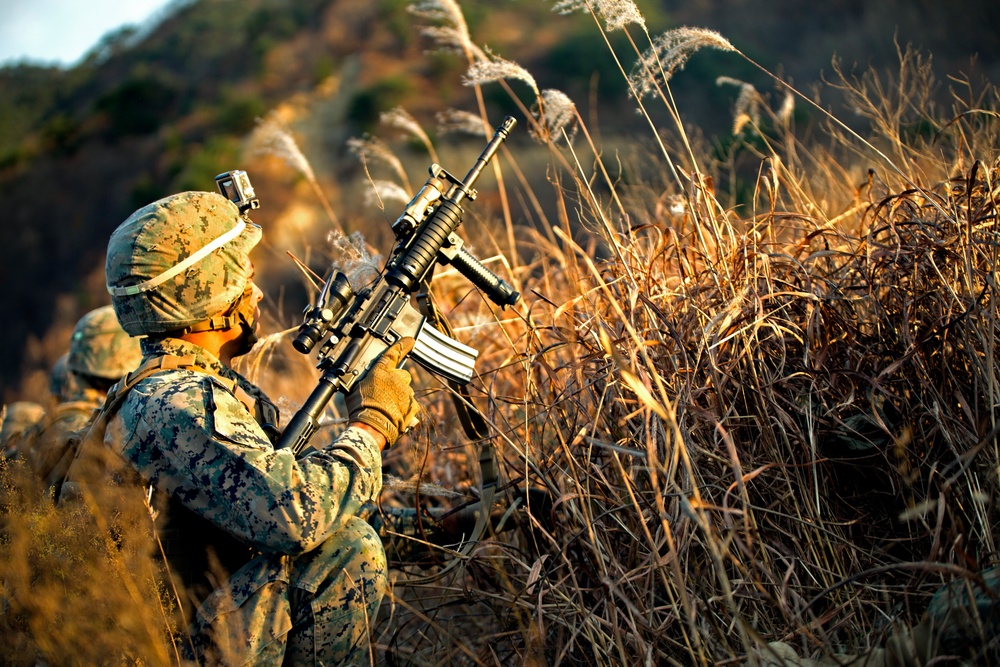 Platoon Assault Range in Korea